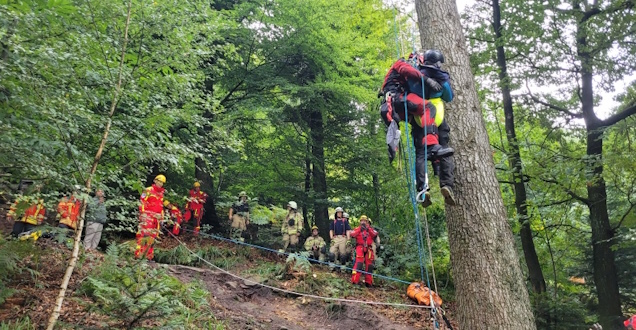 Gemeinsam mit einem Höhenretter wird der Flieger vom Baum abgeseilt