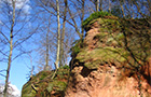 Rocky landscape with trees (Photo: City of Heidelberg) Rocky landscape with trees (Photo: City of Heidelberg)